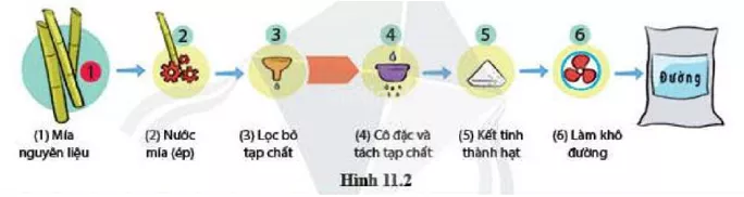 Quá trình sản xuất đường ăn trong công nghiệp được thực hiện theo sơ đồ sau Qua Trinh San Xuat Duong An Trong Cong Nghiep Duoc Thuc Hien Theo So Do Sau