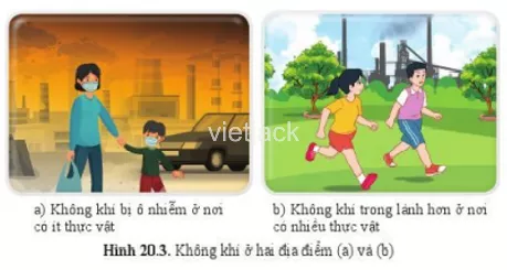 Quan sát hình 20.3 và giải thích vì sao cần trồng nhiều cây xanh Quan Sat Hinh 20 3 Va Giai Thich Vi Sao