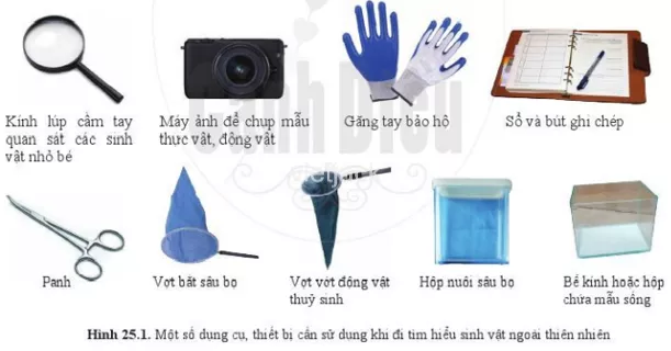 Quan sát hình 25.1 và cho biết cần chuẩn bị những dụng cụ, thiết bị gì khi đi tìm hiểu sinh vật Quan Sat Hinh 25 1 Va Cho Biet Can Chuan Bi Nhung Dung Cu Thiet Bi Gi