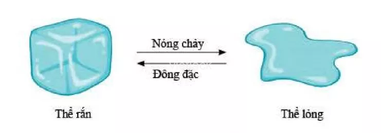 bài 6 Su Nong Chay La Gi Su Dong Dac La Gi 21752
