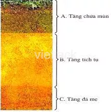 Hãy xây dựng bộ sưu tập hình ảnh về các lĩnh vực nghiên cứu của khoa học tự nhiên Tim Hieu Ve Cac Nhan To Hinh Thanh Dat