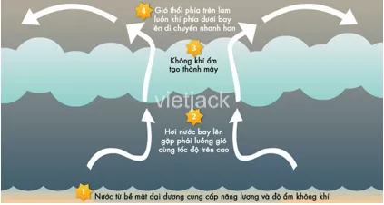 Hãy xây dựng bộ sưu tập hình ảnh về các lĩnh vực nghiên cứu của khoa học tự nhiên Tim Hieu Ve Su Hinh Thanh Va Hoat Dong Cua Bao