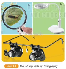 Lựa chọn loại kính lúp trong hình 3.1 để thực hiện các công việc sau Cau Hoi 1 Trang 13 Bai 3 Khoa Hoc Tu Nhien Lop 6 Ket Noi 1