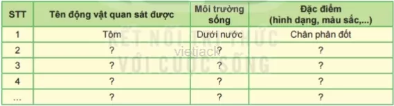 Hoàn thành bảng thu hoạch theo mẫu sau Cau Hoi 1 Trang 134 Bai 37 Khoa Hoc Tu Nhien Lop 6 Ket Noi 1