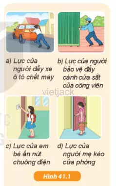 Theo em lực nào trong Hình 41.1 là mạnh nhất, yếu nhất Cau Hoi 1 Trang 147 Bai 41 Khoa Hoc Tu Nhien Lop 6 Ket Noi 1