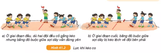 Hãy so sánh độ lớn lực kéo của hai đội kéo co trong Hình 41.2a và 41.2b Cau Hoi 2 Trang 147 Bai 41 Khoa Hoc Tu Nhien Lop 6 Ket Noi 1