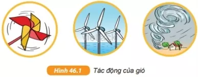 Quan sát và đọc phần mô tả trong Hình 46.1, rồi thảo luận nhóm để làm sáng tỏ hai ý Cau Hoi 2 Trang 163 Bai 46 Khoa Hoc Tu Nhien Lop 6 Ket Noi 1