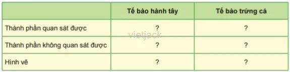 Dựa vào hình ảnh quan sát được, em hãy nêu các thành phần của mỗi loại tế bào rồi hoàn thành  Cau Hoi 2 Trang 74 Bai 21 Khoa Hoc Tu Nhien Lop 6 Ket Noi 1