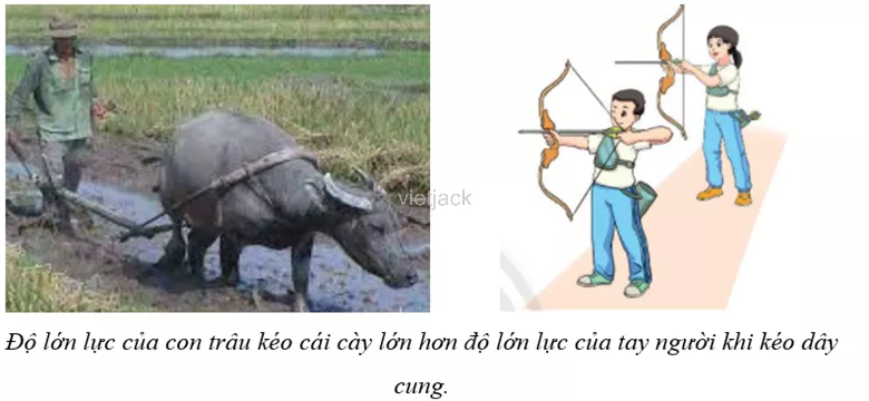 Hãy tìm hai lực trong đời sống có độ lớn khác nhau Cau Hoi 3 Trang 147 Bai 41 Khoa Hoc Tu Nhien Lop 6 Ket Noi 1