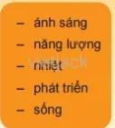 Hoàn thành các câu sau đây bằng cách ghi vào vở (hay phiếu học tập) các từ thích hợp trong khung Cau Hoi 3 Trang 164 Bai 46 Khoa Hoc Tu Nhien Lop 6 Ket Noi 1