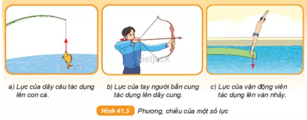 Hãy mô tả bằng lời phương và chiều của các lực trong Hình 41.5 Cau Hoi 4 Trang 149 Bai 41 Khoa Hoc Tu Nhien Lop 6 Ket Noi 1