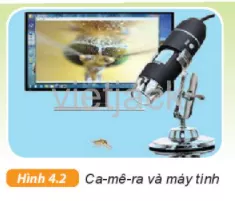 Ca-mê-ra (camera) (Hình 4.2) có khả năng phóng to từ 40 lần đến 1000 lần Em Co Biet 1 Trang 16 Bai 4 Khoa Hoc Tu Nhien Lop 6 Ket Noi 1