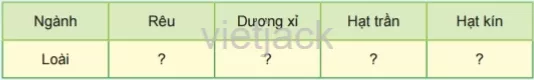 Thảo luận nhóm và hoàn thành các yêu cầu sau Hoat Dong 1 Trang 119 Bai 34 Khoa Hoc Tu Nhien Lop 6 Ket Noi 1