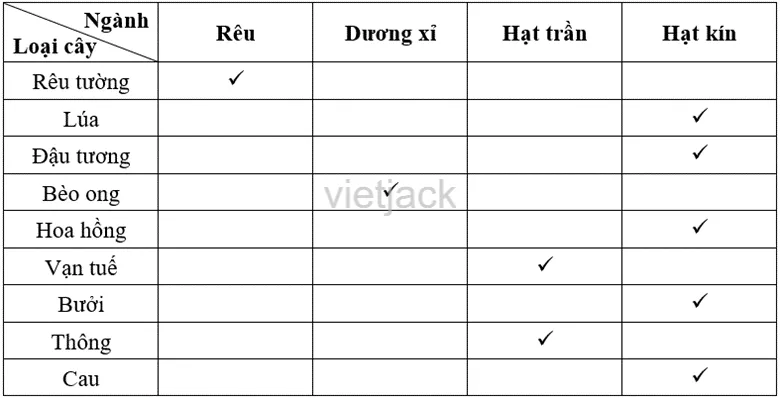 Thảo luận nhóm và hoàn thành các yêu cầu sau Hoat Dong 1 Trang 119 Bai 34 Khoa Hoc Tu Nhien Lop 6 Ket Noi 3