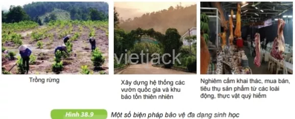 Quan sát hình 38.9, nêu các biện pháp bảo vệ đa dạng sinh học và tác dụng của mỗi biện pháp đó Hoat Dong 1 Trang 138 Bai 38 Khoa Hoc Tu Nhien Lop 6 Ket Noi 1