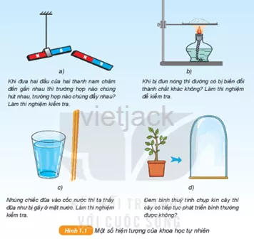 Hình 1.1 dưới đây mô tả một số hiện tượng. Em hãy đọc và thực hiện yêu cầu Hoat Dong 1 Trang 8 Bai 1 Khoa Hoc Tu Nhien Lop 6 Ket Noi 1