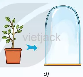 Hình 1.1 dưới đây mô tả một số hiện tượng. Em hãy đọc và thực hiện yêu cầu Hoat Dong 1 Trang 8 Bai 1 Khoa Hoc Tu Nhien Lop 6 Ket Noi 6