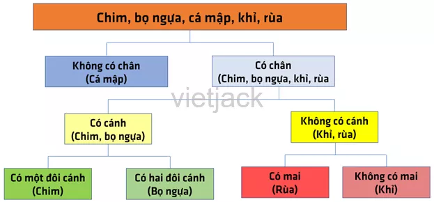 Cho các loài sinh vật như hình dưới đây. Hãy tiến hành xây dựng khóa lưỡng phân Hoat Dong 1 Trang 91 Bai 26 Khoa Hoc Tu Nhien Lop 6 Ket Noi 2