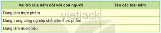 Nêu tên các loại nấm mà em biết và tác dụng của chúng rồi hoàn thành bảng theo mẫu sau Hoat Dong 2 Trang 109 Bai 32 Khoa Hoc Tu Nhien Lop 6 Ket Noi 1