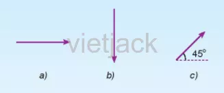 Hãy nêu các đặc trưng của các lực vẽ trong mặt phẳng đứng dưới đây theo tỉ xích 1cm ứng với 1N Hoat Dong 2 Trang 150 Bai 41 Khoa Hoc Tu Nhien Lop 6 Ket Noi 1