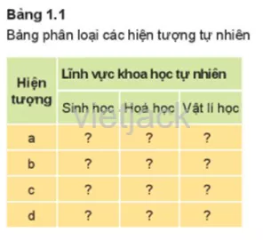 Em hãy chép bảng 1.1 vào vở rồi sắp xếp các hiện tượng ở hình 1.1 vào ba lĩnh vực chính Hoat Dong 2 Trang 8 Bai 1 Khoa Hoc Tu Nhien Lop 6 Ket Noi 1