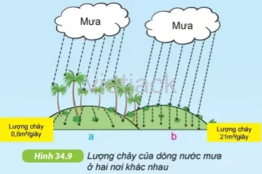 Quan sát hình 34.10 và nêu một số thiên tai ở nước ta Hoat Dong 3 Trang 120 Bai 34 Khoa Hoc Tu Nhien Lop 6 Ket Noi 1