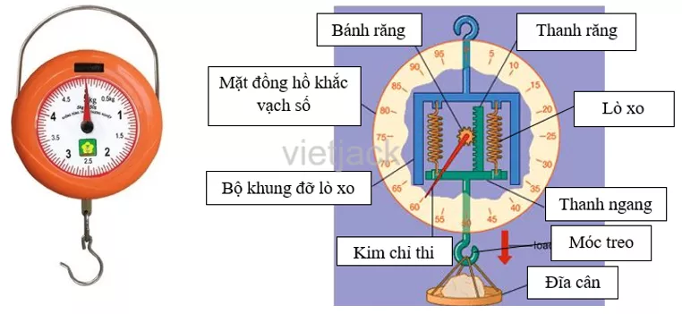 Hãy quan sát, mô tả cấu tạo (mặt trước và bên trong) của cân lò xo  Hoat Dong 3 Trang 153 Bai 42 Khoa Hoc Tu Nhien Lop 6 Ket Noi 1