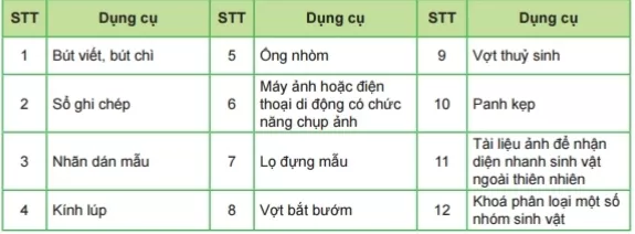 Hoạt động trải nghiệm Tìm hiểu sinh vật ngoài thiên nhiên sẽ giúp các em củng cố lại Mo Dau Trang 139 Bai 39 Khoa Hoc Tu Nhien Lop 6 Ket Noi 1