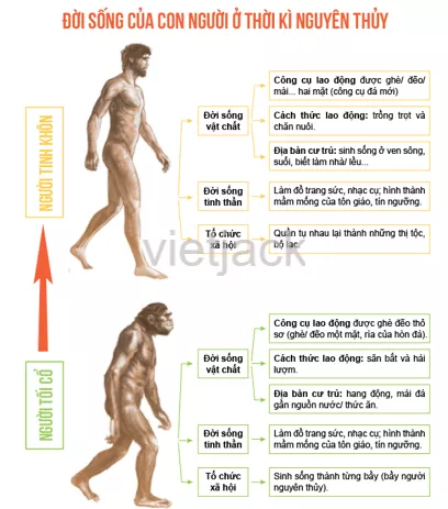 Vẽ sơ đồ tư duy về đời sống của người nguyên thủy Luyen Tap 1 Trang 21 Lich Su Lop 6 Canh Dieu