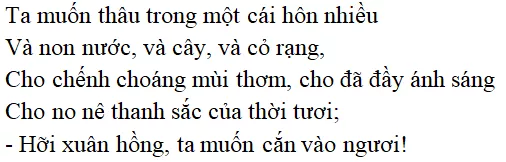 Bài thơ Vội vàng (Xuân Diệu) - nội dung, dàn ý phân tích, bố cục, tác giả | Ngữ văn lớp 11 Voi Vang 2