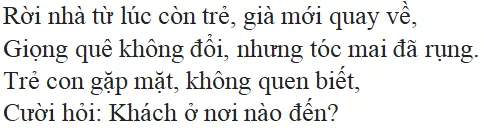 Bài thơ Ngẫu nhiên viết nhân buổi mới về quê - nội dung, dàn ý, giá trị, bố cục, tác giả | Ngữ văn lớp 7 Ngau Nhien Viet Nhan Buoi Moi Ve Que 1