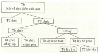 Soạn Văn lớp 9 | Để học tốt Ngữ Văn 9 Soan Bai Tong Ket Ve Tu Vung