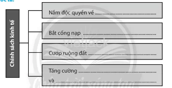 Bài 16: Chính sách cai trị của phong kiến phương Bắc và sự chuyển biến của Việt Nam thời kì Bắc thuộc Bai 16 Chinh Sach Cai Tri Cua Phong Kien Phuong Bac Va Su Chuyen Bien 5