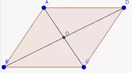 Hãy liệt kê những hình nào trong các hình sau có tâm đối xứng: hình tam giác đều Bai 5 11 Trang 86 Sbt Toan Lop 6 Tap 1 Ket Noi