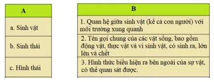 Tiếng Việt 5 VNEN Bài 12A: Hương sắc rừng xanh | Soạn Tiếng Việt lớp 5 VNEN hay nhất Bai 12a Huong Sac Rung Xanh 2