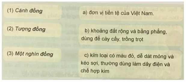 Tiếng Việt 5 VNEN Bài 5C: Tìm hiểu về từ đồng âm | Soạn Tiếng Việt lớp 5 VNEN hay nhất Bai 5c Tim Hieu Ve Tu Dong Am 1