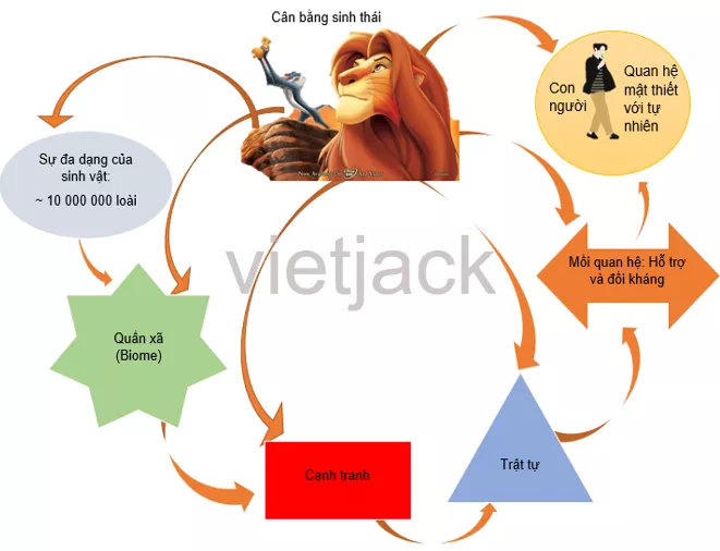 Soạn bài Tóm tắt bằng sơ đồ nội dung của một văn bản đơn giản Tom Tat Bang So Do Noi Dung Cua Mot Van Ban Don Gian 2