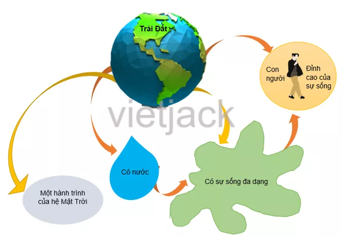 Soạn bài Tóm tắt bằng sơ đồ nội dung của một văn bản đơn giản Tom Tat Bang So Do Noi Dung Cua Mot Van Ban Don Gian