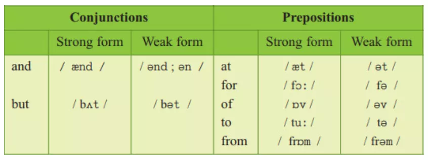 Soạn Unit 6 lớp 12: Language Focus | Tiếng Anh 12 và giải bài tập tiếng Anh lớp 12 | Để học tốt Tiếng Anh 12 Unit 6 Language Focus