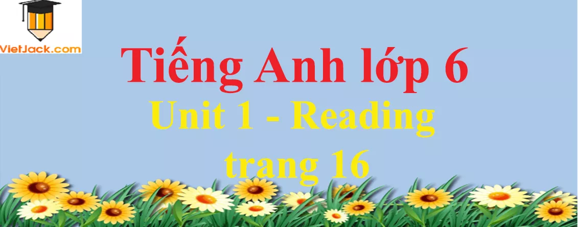 Tiếng Anh lớp 6 Unit 1 - Reading trang 16 Unit 1 Reading