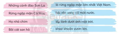 Tiếng Việt lớp 2 Bài 2: Sóng và cát ở Trường Sa trang 101, 102, 103, 104, 105 - Chân trời Bai 2 Song Va Cat O Truong Sa 5