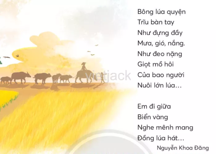Tiếng Việt lớp 2 Bài 3: Mùa lúa chín trang 66, 67, 68 - Chân trời Bai 3 Mua Lua Chin 2
