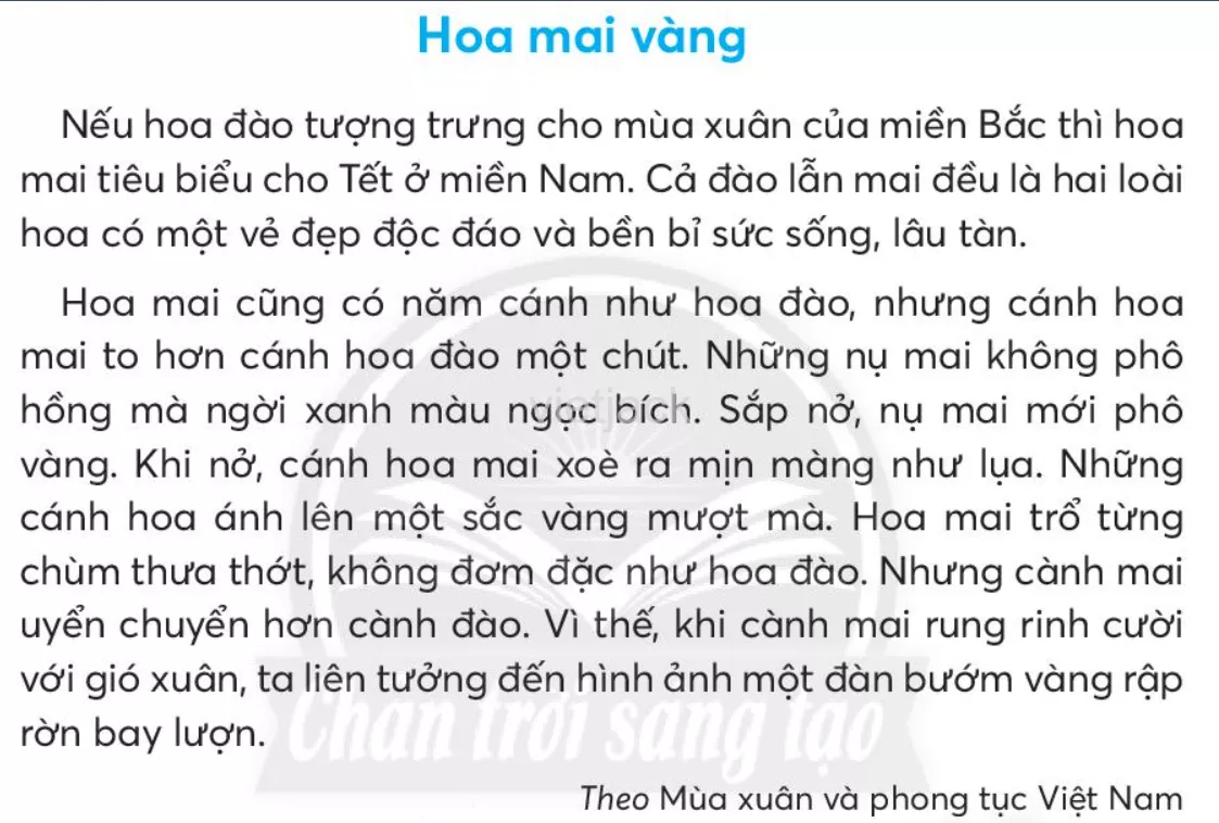 Tiếng Việt lớp 2 Bài 4: Hoa mai vàng trang 53, 54, 55, 56, 57 - Chân trời Bai 4 Hoa Mai Vang 1