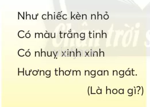 Tiếng Việt lớp 2 Bài 4: Hoa mai vàng trang 53, 54, 55, 56, 57 - Chân trời Bai 4 Hoa Mai Vang 3