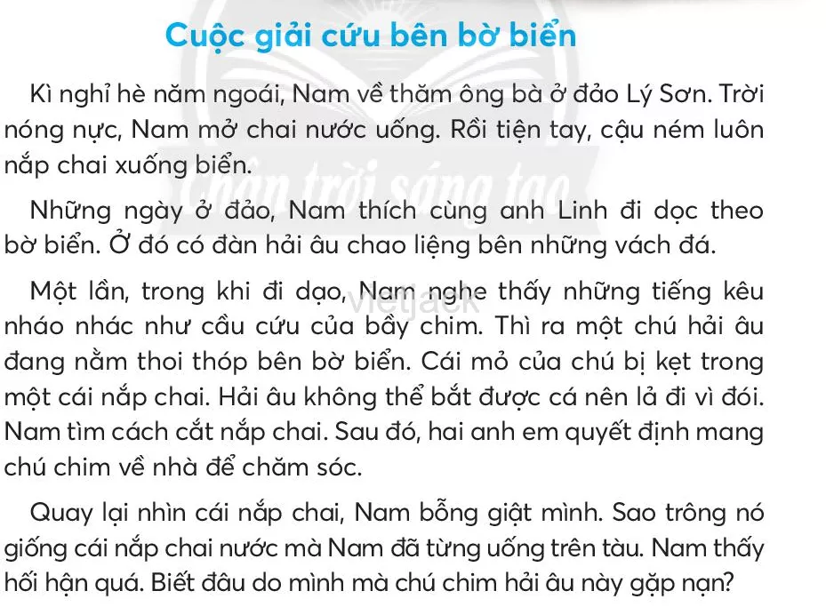 Tiếng Việt lớp 2 Bài 6: Cuộc giải cứu bên bờ biển trang 133, 134, 135, 136, 137 - Chân trời Bai 6 Cuoc Giai Cuu Ben Bo Bien 2