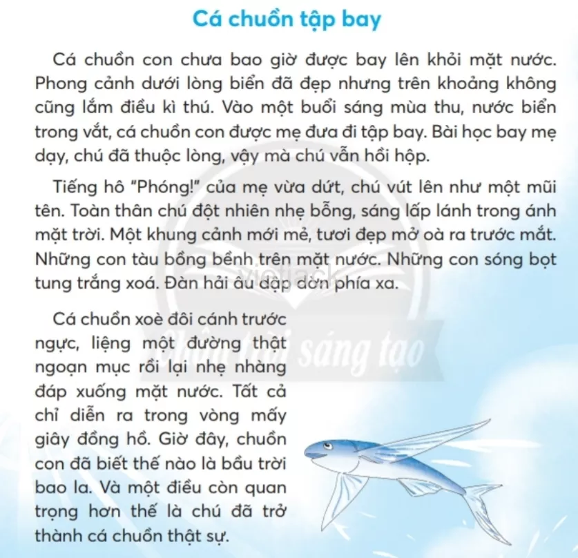 Tiếng Việt lớp 2 Đánh giá cuối học kì 1 trang 151, 152, 153, 154 - Chân trời Danh Gia Cuoi Hoc Ki 1 1