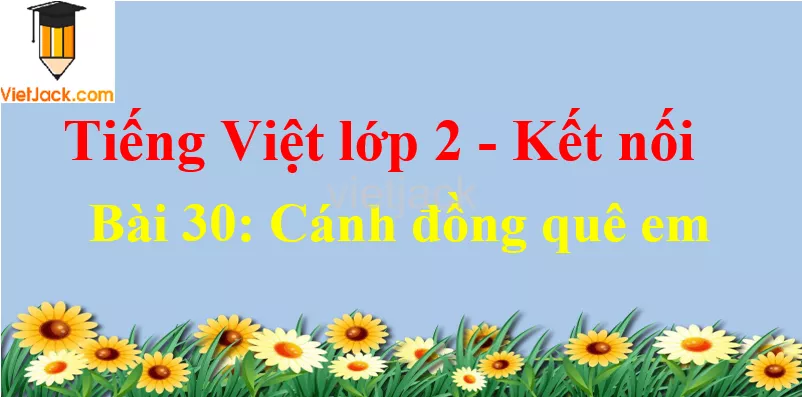 Giải Tiếng Việt lớp 2 Tập 2 Bài 30: Cánh đồng quê em Bai 30 Canh Dong Que Em