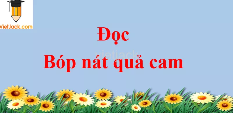 Bóp nát quả cam trang 100 - 101 - 102 Tiếng Việt lớp 2 Tập 2 Doc Bop Nat Qua Cam Trang 100 101 102