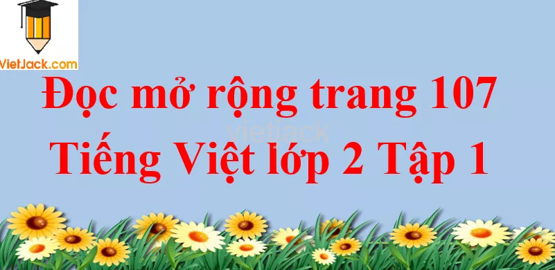 Đọc mở rộng trang 107 Tiếng Việt lớp 2 Tập 1 Doc Mo Rong Trang 107