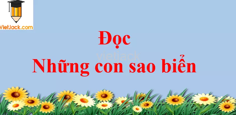 Những con sao biển trang 61 - 62 Tiếng Việt lớp 2 Tập 2 Doc Nhung Con Sao Bien Trang 61 62